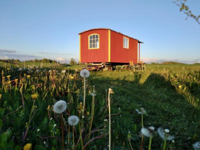 Gula Vagnen in Hörby